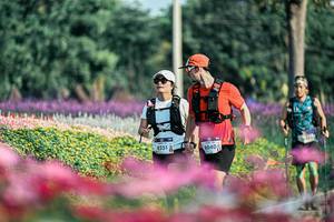 BIB: 
                            <button type="button" onclick="openModal(25933769)" class="btn btn-primary btn-sm float-right btn-popup" data-toggle="modal" data-target=".modal-high-quality">
                        <i class="fas fa-shopping-cart"></i> Add to Cart
                    </button>
                                            <button type="button" onclick="isThisMe(25933769, true)" class="btn btn-success btn-sm float-right btn-popup btn-isme hidden" data-toggle="tooltip" data-placement="bottom" title="นี่คือรูปของคุณใช่ไหม คลิกที่นี่เพื่อเอาเข้าอัลบั้ม">
                        <i class="fas fa-plus"></i> Add to album
                    </button>
                    <button type="button" onclick="isThisMe(25933769, false)" class="btn btn-warning btn-sm float-right btn-popup btn-isnotme hidden">
                        <i class="fas fa-ban"></i> Remove from album
                    </button>